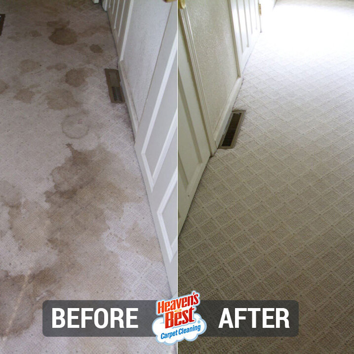 Heaven's Best Carpet Cleaning of Yakima